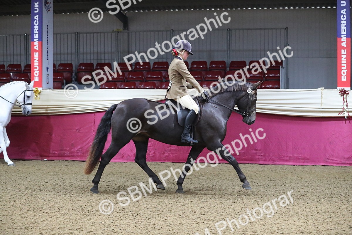 SBM_09248 - Class 101 Equitation (best rider), Junior