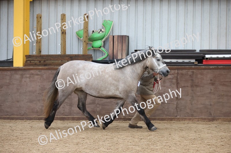 20251109-0989 - Class 26 - 2 and 4 Year Olds