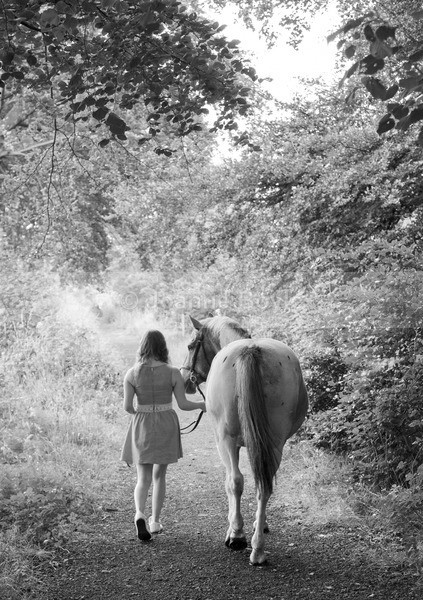 Equine Photo Shoot 11 - Equine Gallery Portfolio