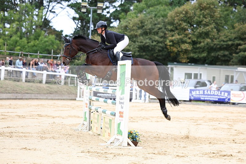 3E7A3383 - Class 9: Senior Foxhunter/1.20 open