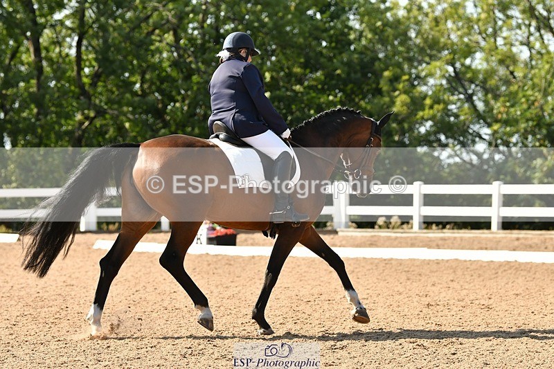 250817-155729-11418 - 211-Carey.CollettRubin's.Fanfare