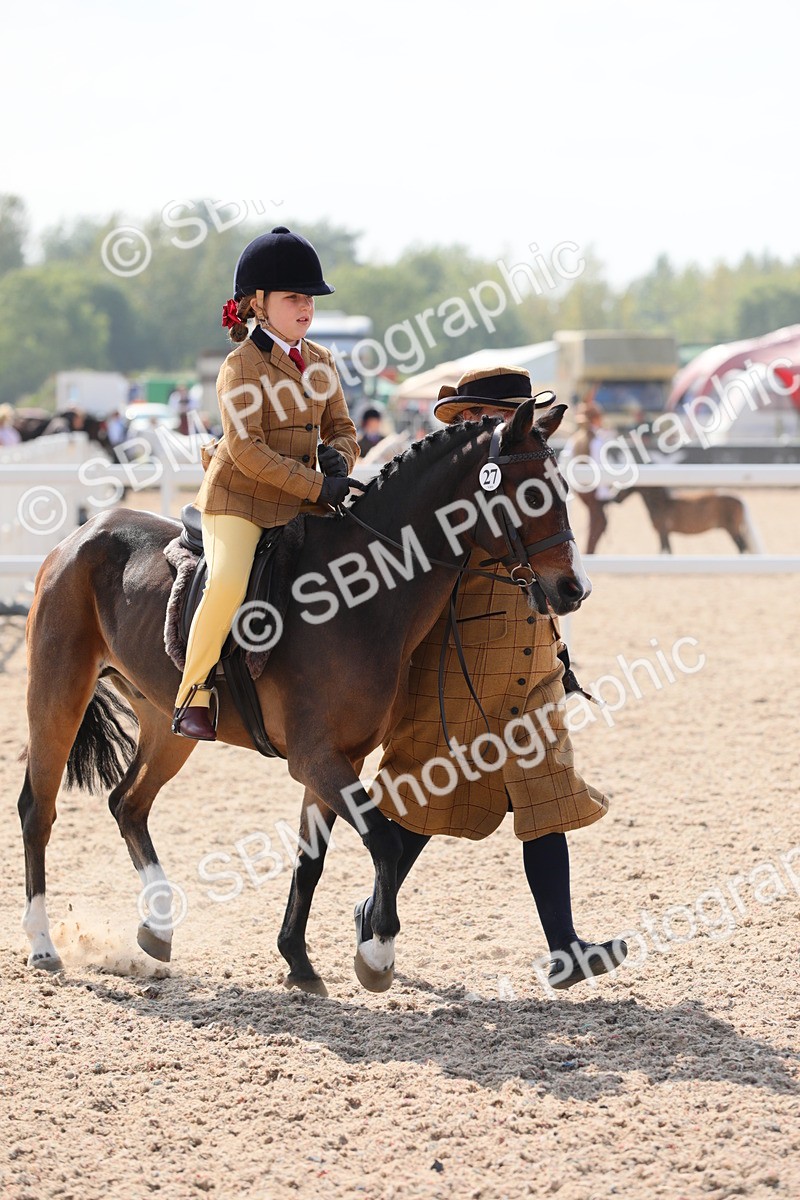SBM_14037 - Class 309 Lead Rein Pony