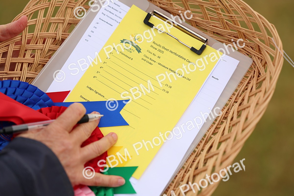 SBM_04420 - Class 64-67 - Shetland Pony In Hand