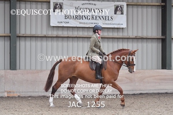 JAC_1255 - CLASS 8 BHS Scotland Riding Club Working Hunter Qualifier (1.00m)