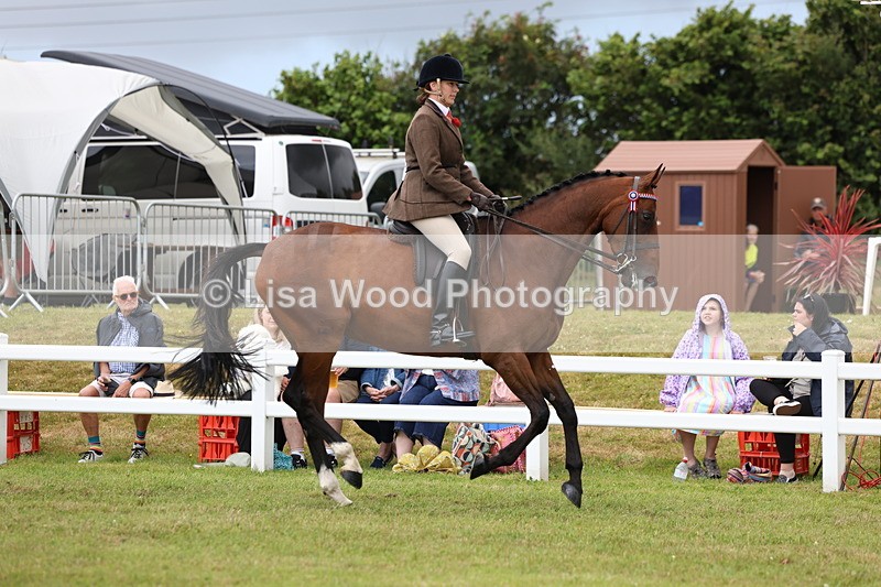 3E7A0920 - Class 8: Open Riding Horse/Hack