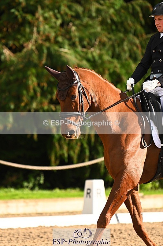 231021-151322-20791 - 256-GOODFELLA.GIO-Finley.Atherton-DR