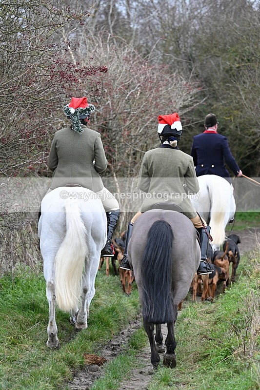 WJ7_0849 - First Seen