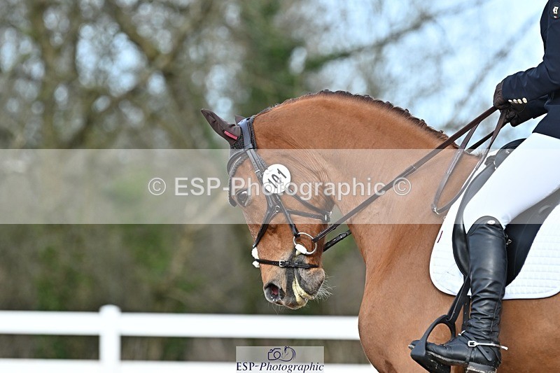 250125-130907-00568 - Dressage - CT Class 6 BE102