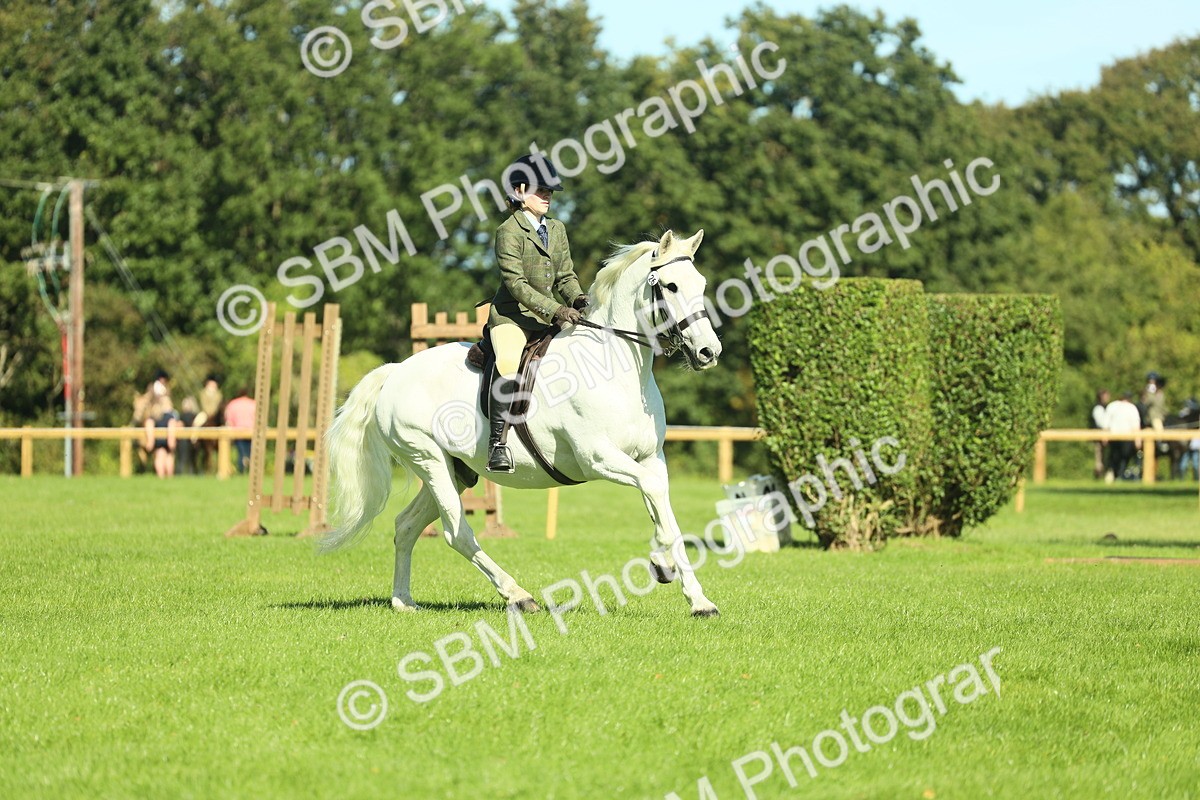 SBM_39168 - S29 - Novice & Newcomers Working Hunter Pony