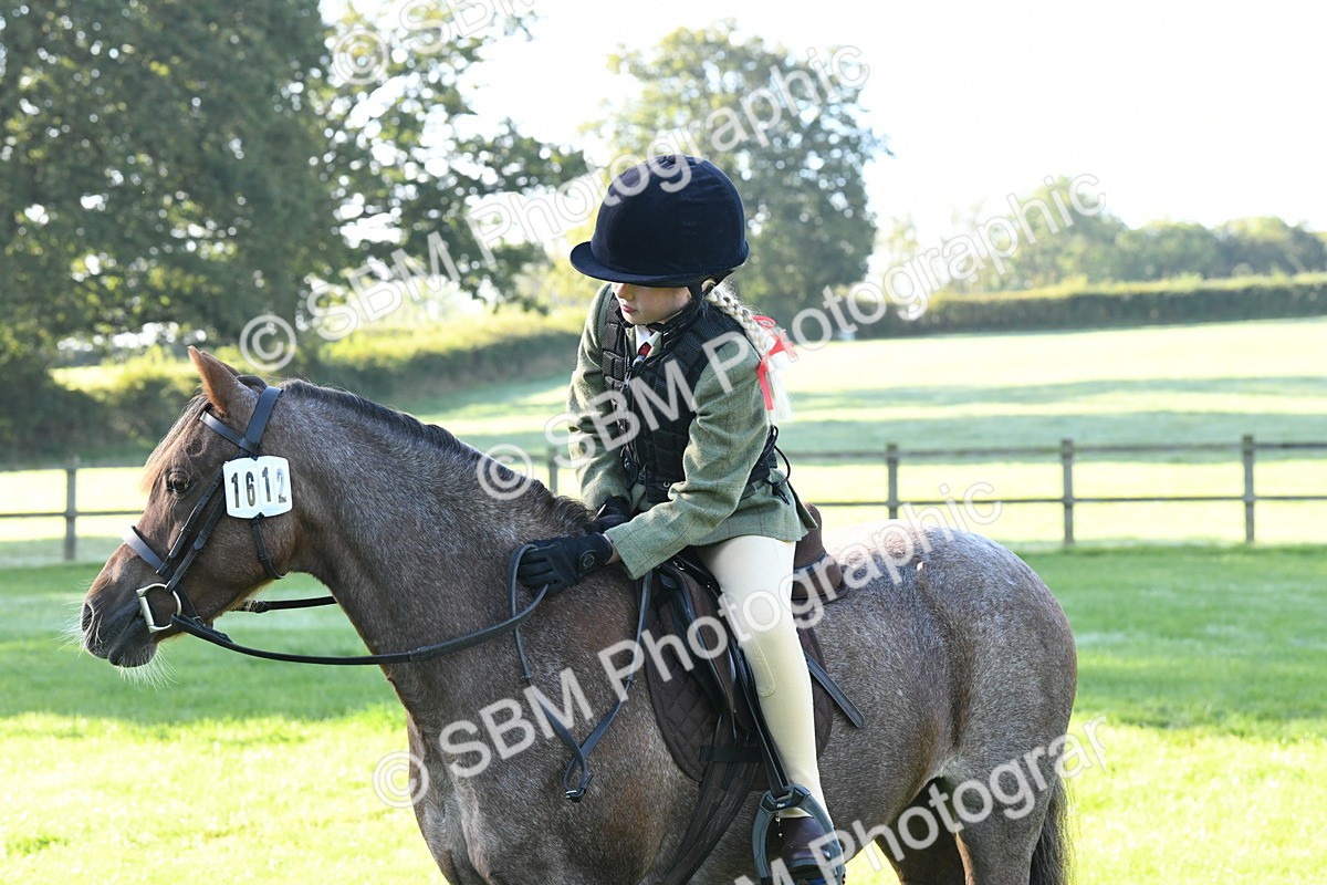 SBM_34024 - S16 - Condition & Turnout - Ridden