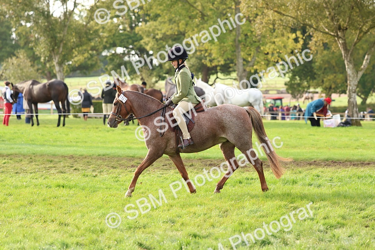 SBM_56610 - S40 - Starters Ridden Showing