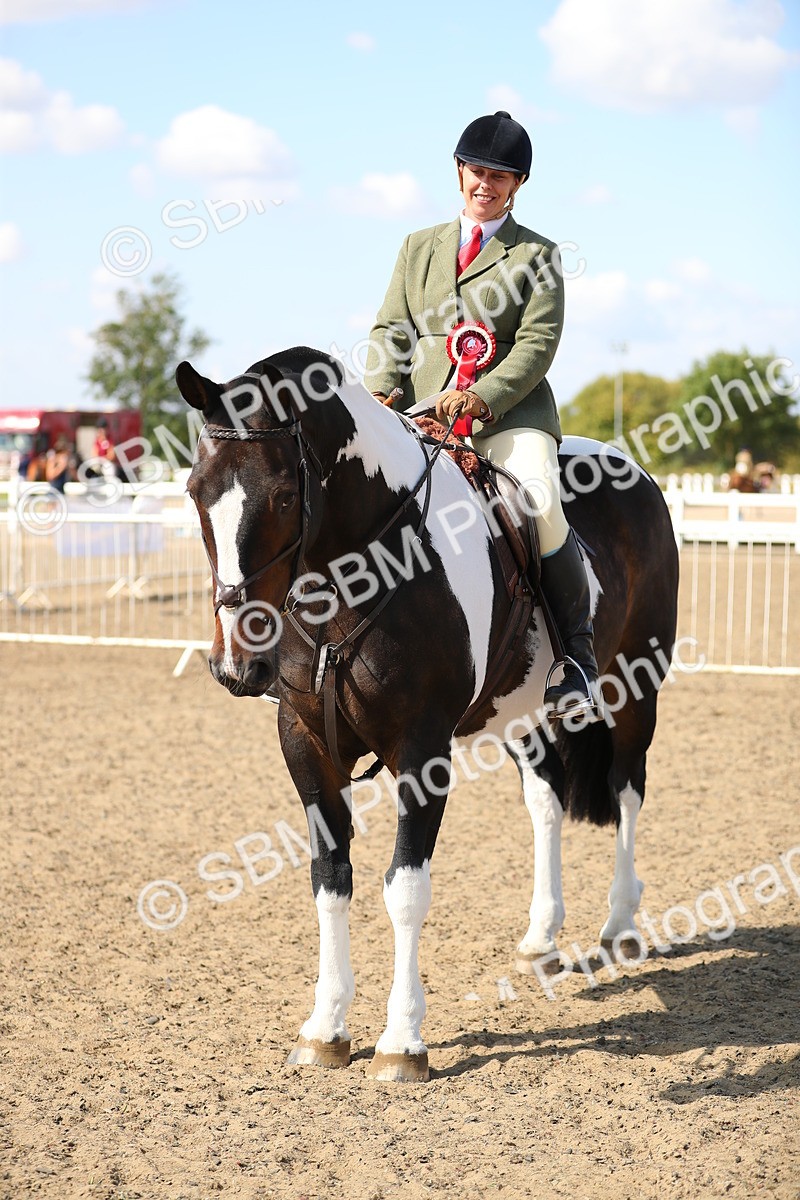 SBM_03271 - Class 44 Riding Club Horse/ Pony