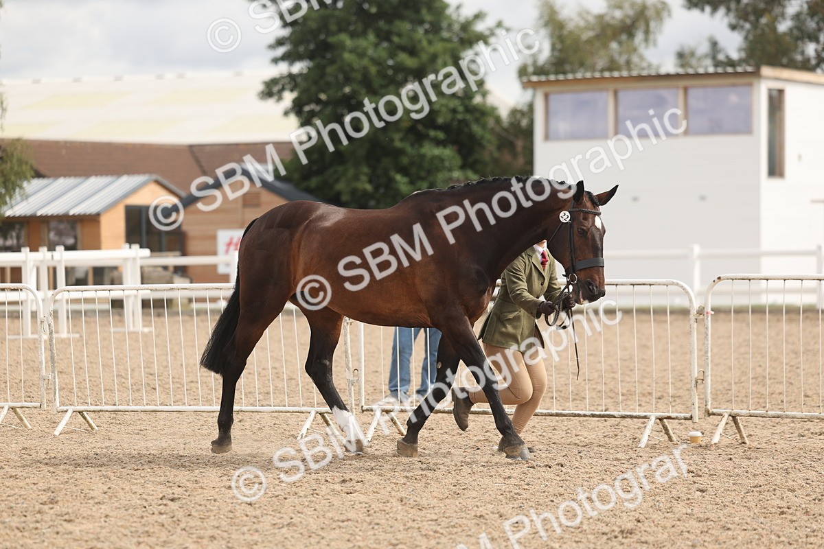 SBM_04987 - Class 20 - IH Veteran