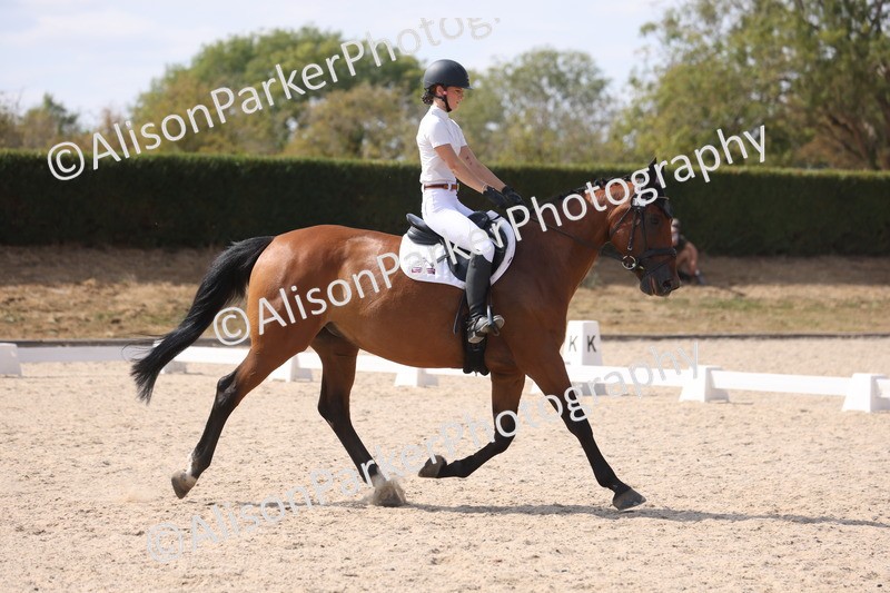 20260815-1074 - Class 6 - Novice 2