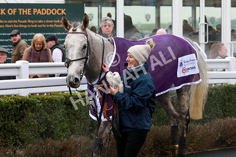 310125-Race 1-Quian-4335 - Race 1