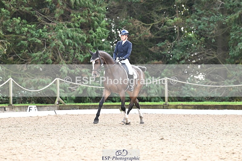 251023A-105158-01106 - C-223-Toots.Bartlett