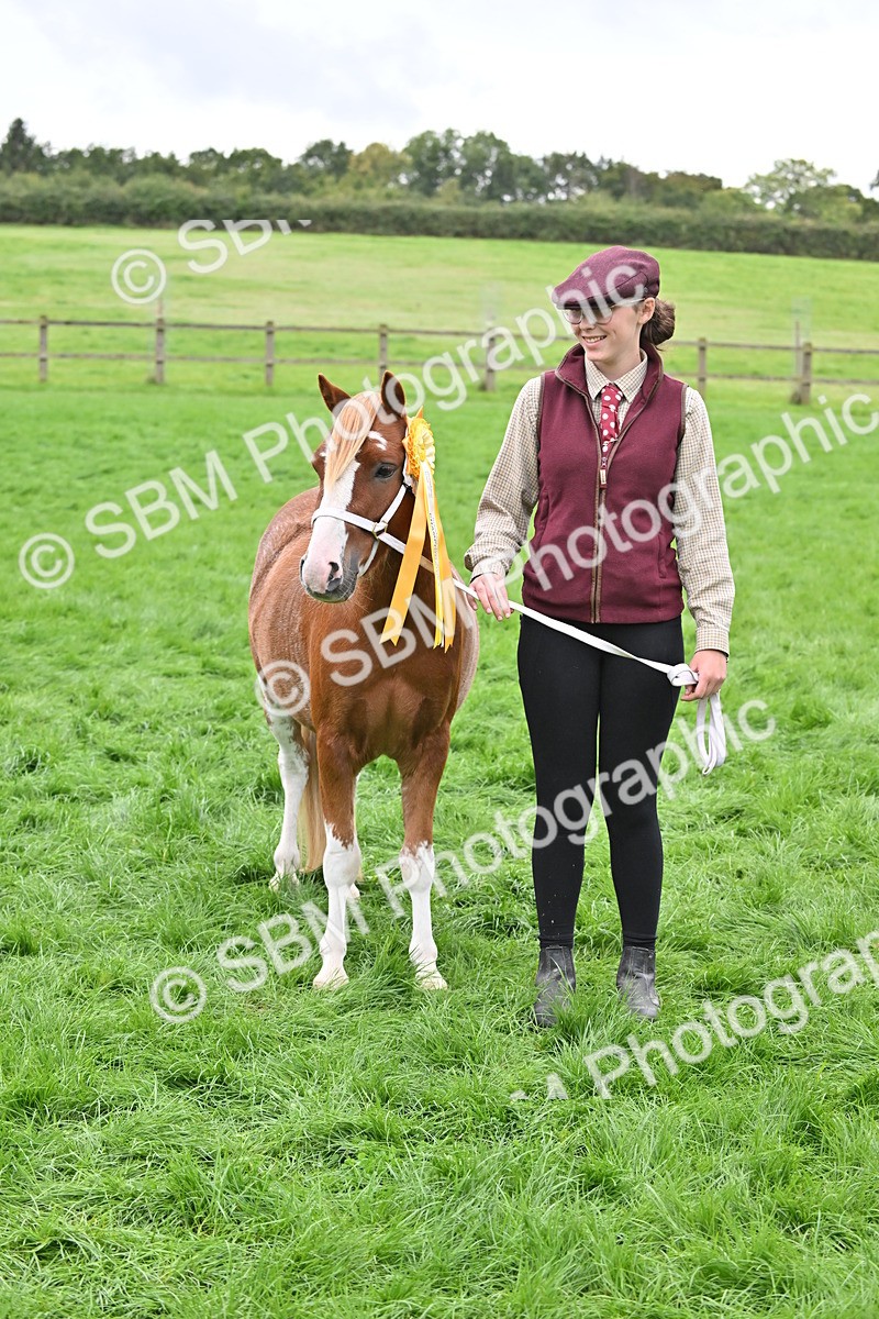SBM_61068 - S48 - Mountain & Moorland In Hand Small Breeds