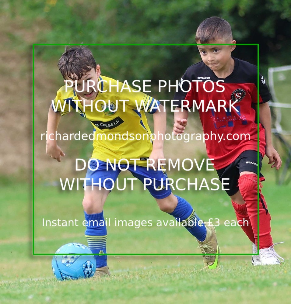 533A2995 - Sedbergh Wanderers (morning Ibis)