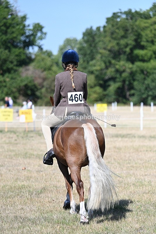 WJ7_3983 - Class 9 Mountain & Moorland Ridden