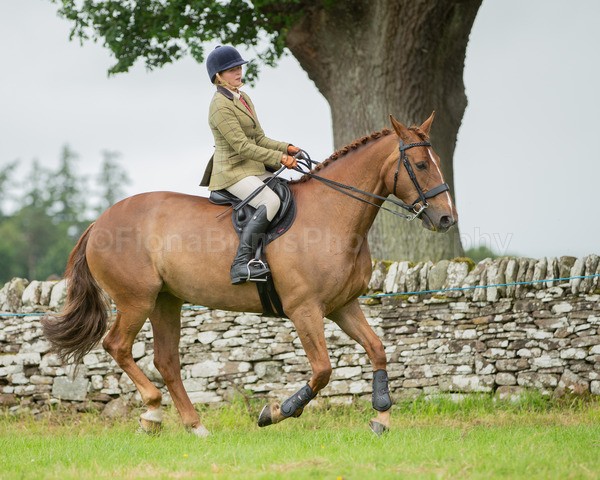 Dunblane show-667 - Dunblane and Doune Show Ring 1