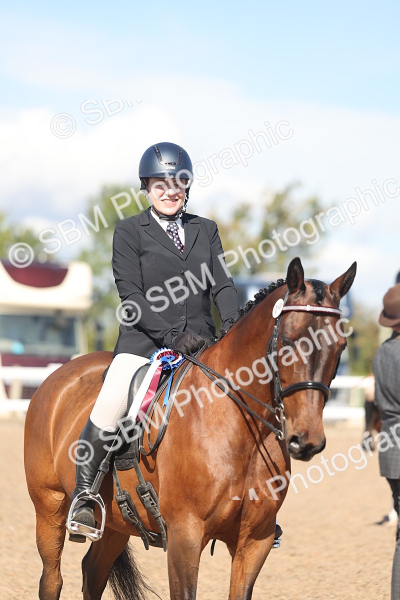 SBM_13124 - Class 305 - Ridden Foreign Breed Pure Bred