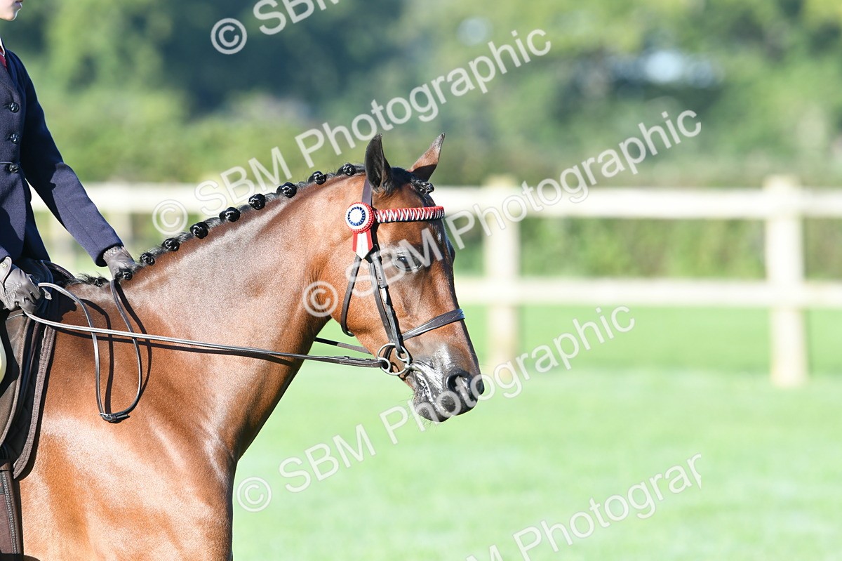 SBM_33884 - S16 - Condition & Turnout - Ridden