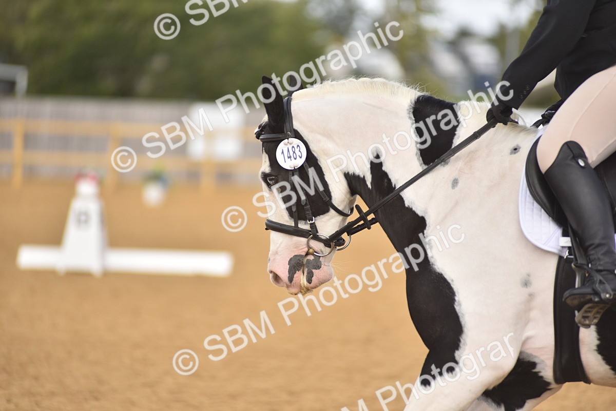 SBM_07838 - D15 - Small Tour Championship Novice 1