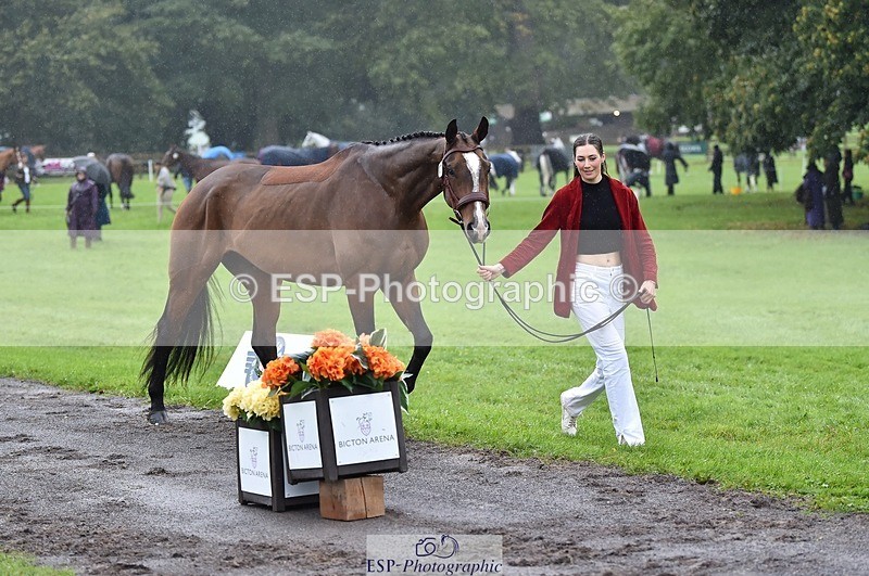 231018-121458-00163 - 065-SIR.HENRY.HALL-Jess.Rimmer-TrotUp