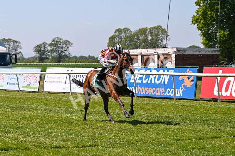 170525-Race 2-Kodiac Thriller-7991 - Race 2