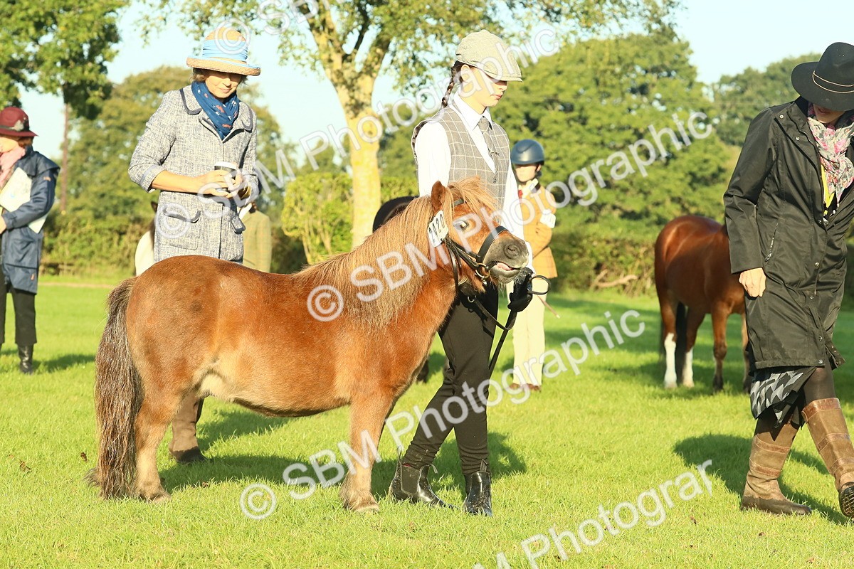 SBM_57424 - S37 - Starters In Hand Showing