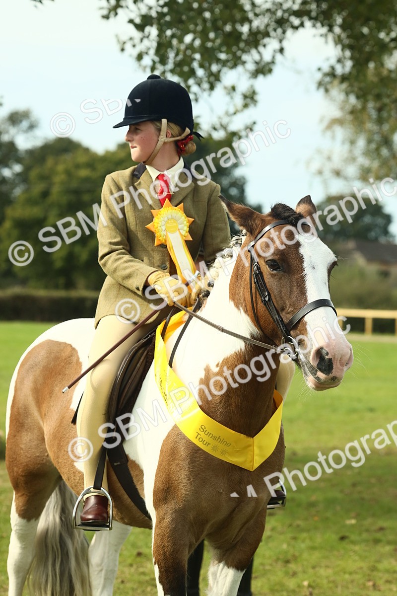 SBM_68145 - S57 - Part Bred Pony Ridden