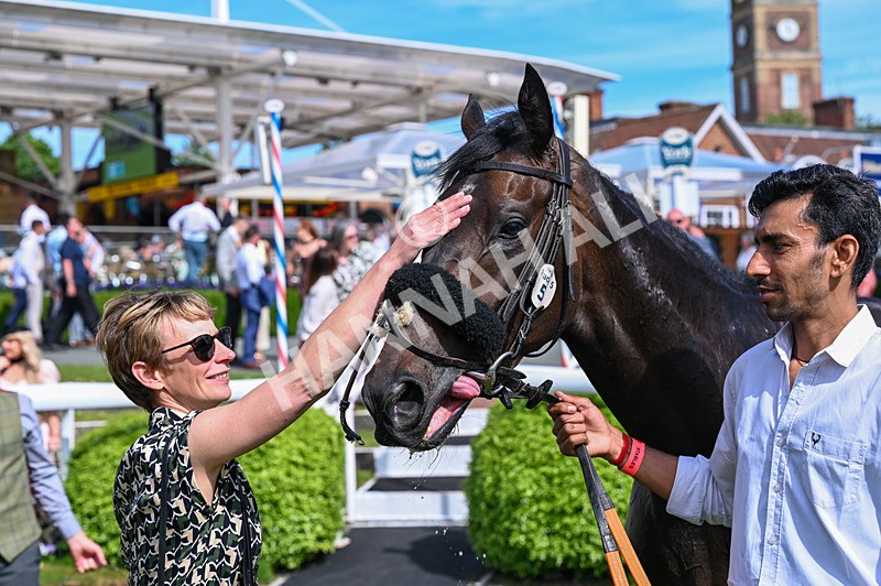 230526-Race 5-Reliable Ricki-7665 - Race 5 15.50pm Reg Bond 'Always And Forever' Handicap