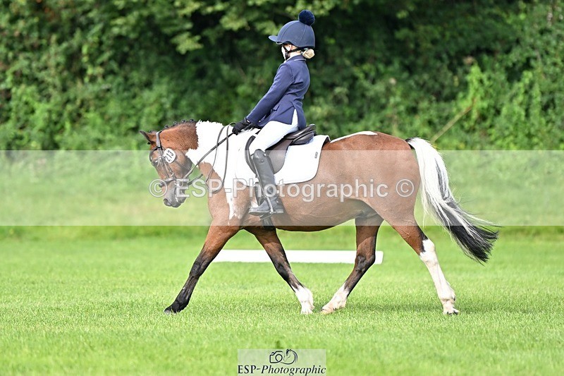 230826-102838-16537 - Sections A & B 10 to End