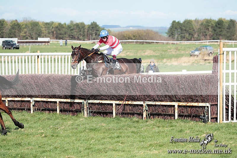 PtP 230324 547 - Tedworth Hunt PtP Larkhill Raccourse 23rd March 2024