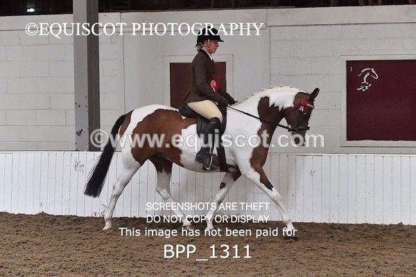 BPP_1311 - RING 2