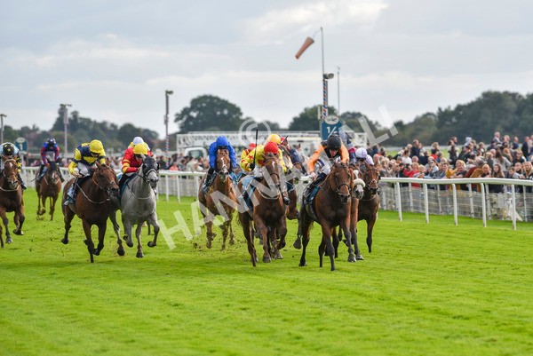 230923-Race 4-Aphelios-6486 - Race 4 3.45pm Jigsaw Sports Branding Handicap