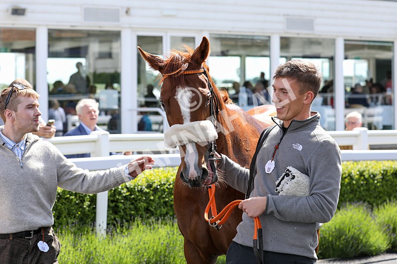 080624-Race 3-Without Delay-4746 - Race 3