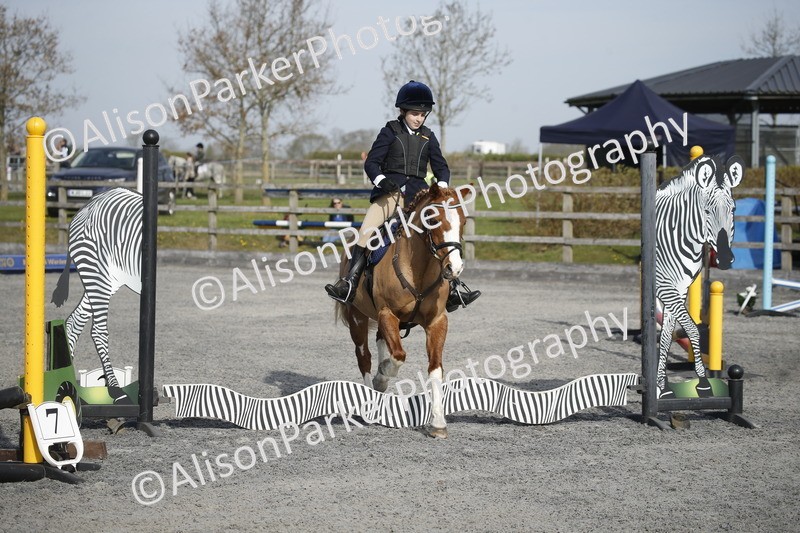 20250412-0080 - Show Jumping
