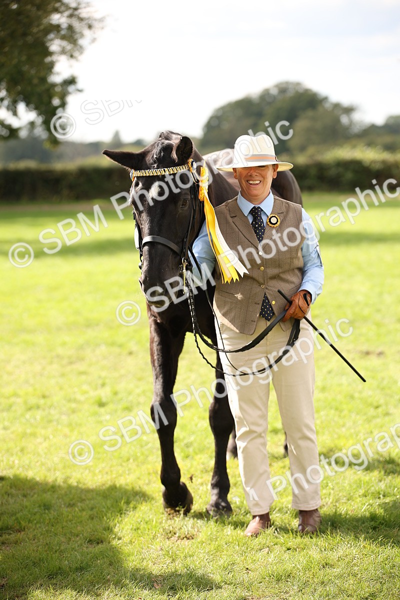 SBM_46423 - S25 - Mature Veteran In Hand