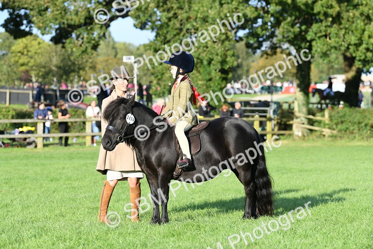 SBM_54054 - S23 - 1st Ridden Mountain & Moorland Pony