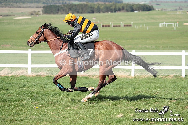 PtP 230324 575 - Tedworth Hunt PtP Larkhill Raccourse 23rd March 2024