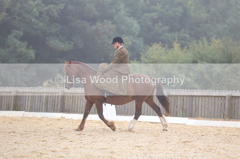 3E7A6902 - Class 5: Prelim to Music