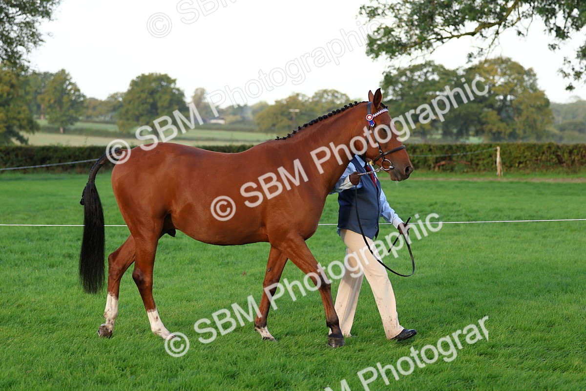 SBM_32746 - S8 - Best Turned Out