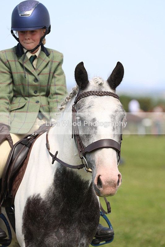 JPP_3464 - Class 22: Working Hunter 70cm