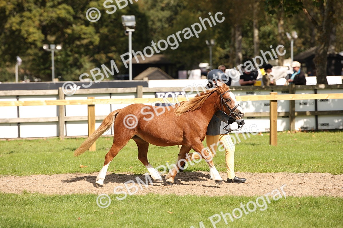 SBM_44400 - S24 - Young Veteran in hand