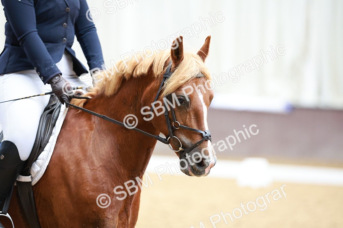 SBM_011524 - Prelim 5 - 13.05-14.01