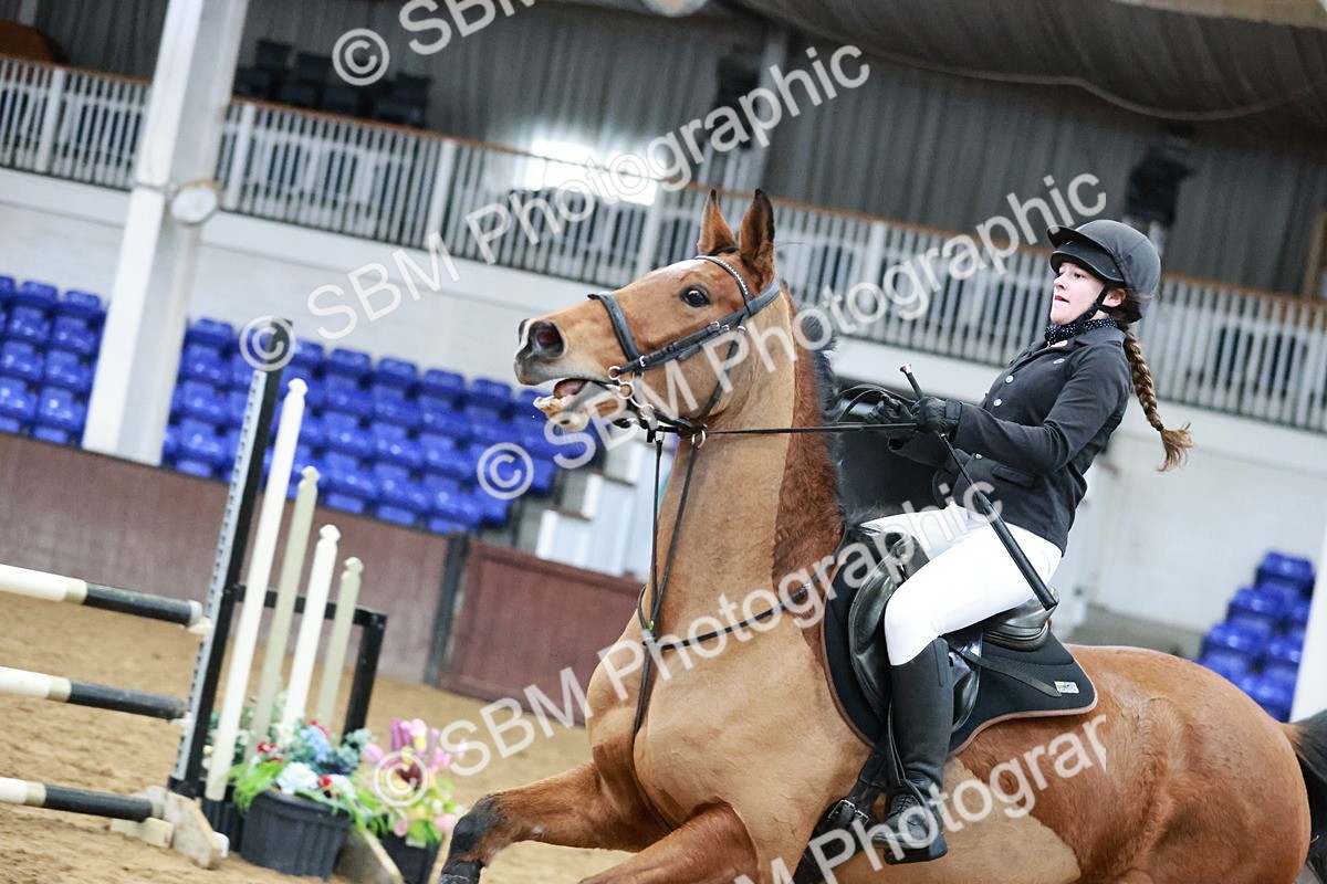 SBM_003725 - Class 15 - Senior British Novice - 90cm