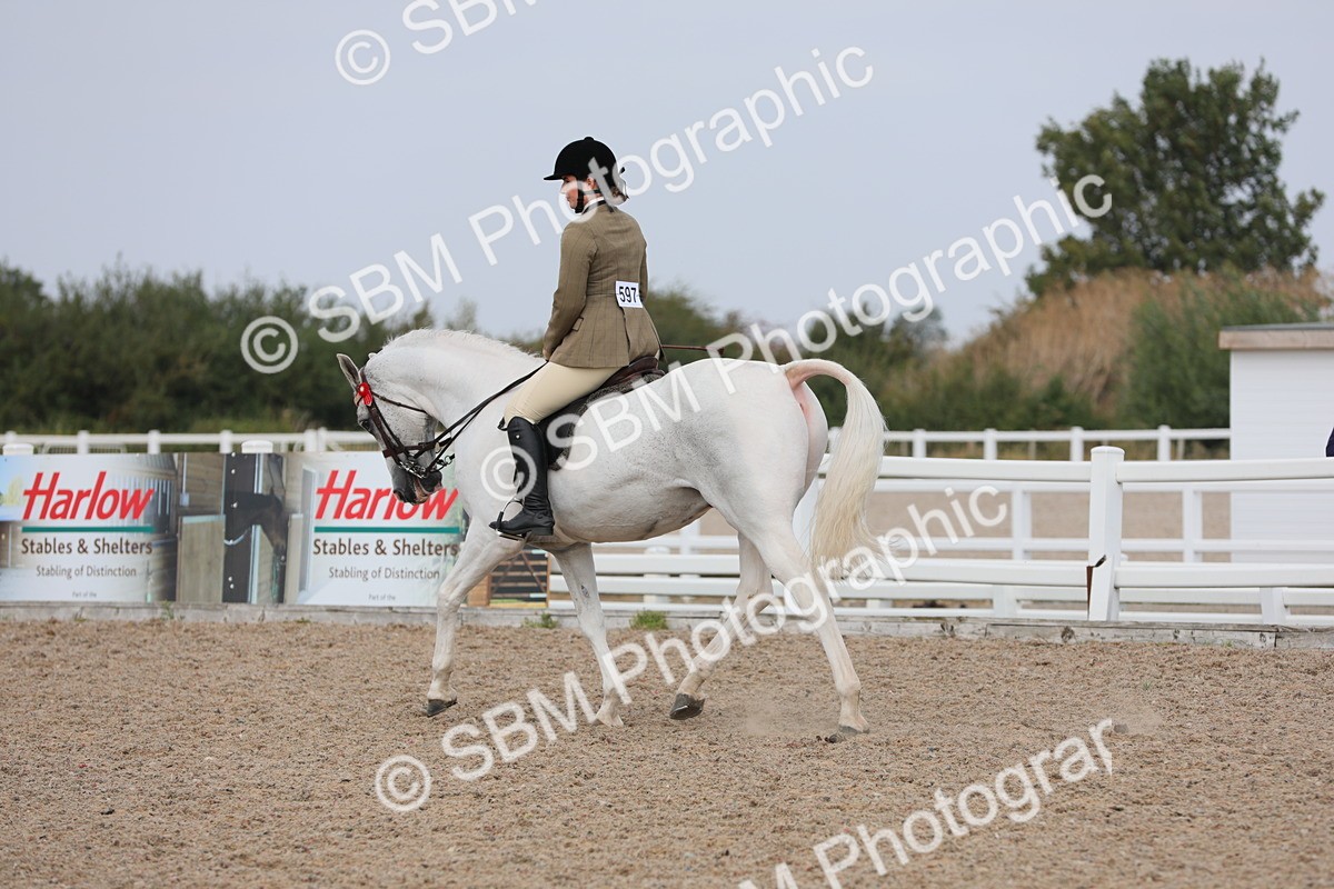 SBM_13413 - Class 308 Ridden Coloured Horse