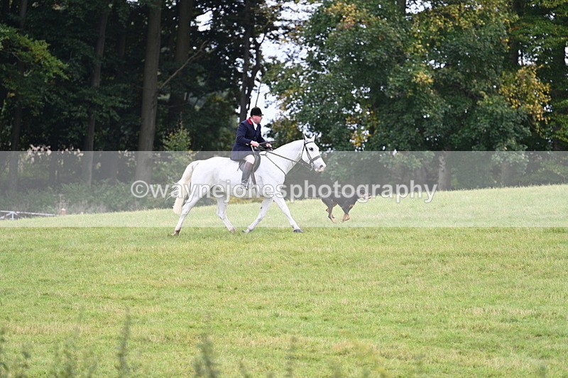 WJ7_4017 - Camera 1 Line 2