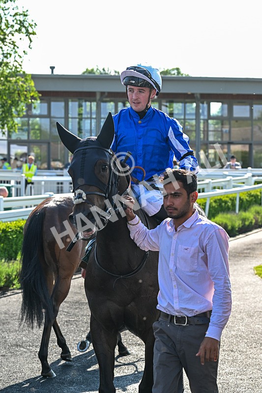 100625-Race 1-Desert Jungle-6437 - Race 1